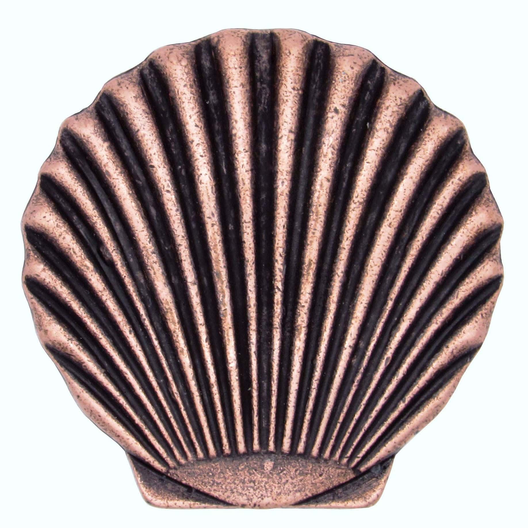 Scallop Seashell Knob, Copper Oxide alt 0
