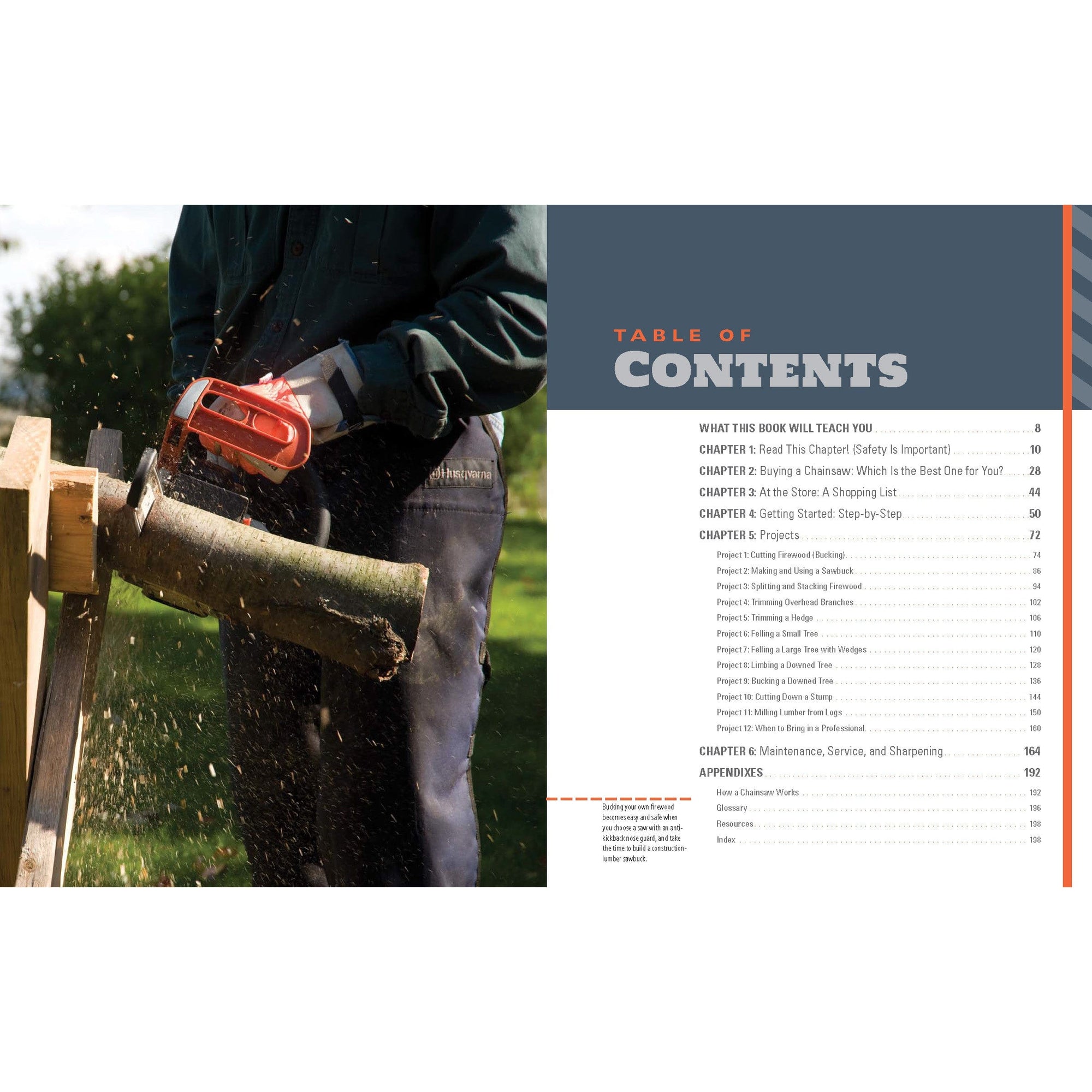 Chainsaw Manual for Homeowners alt 2