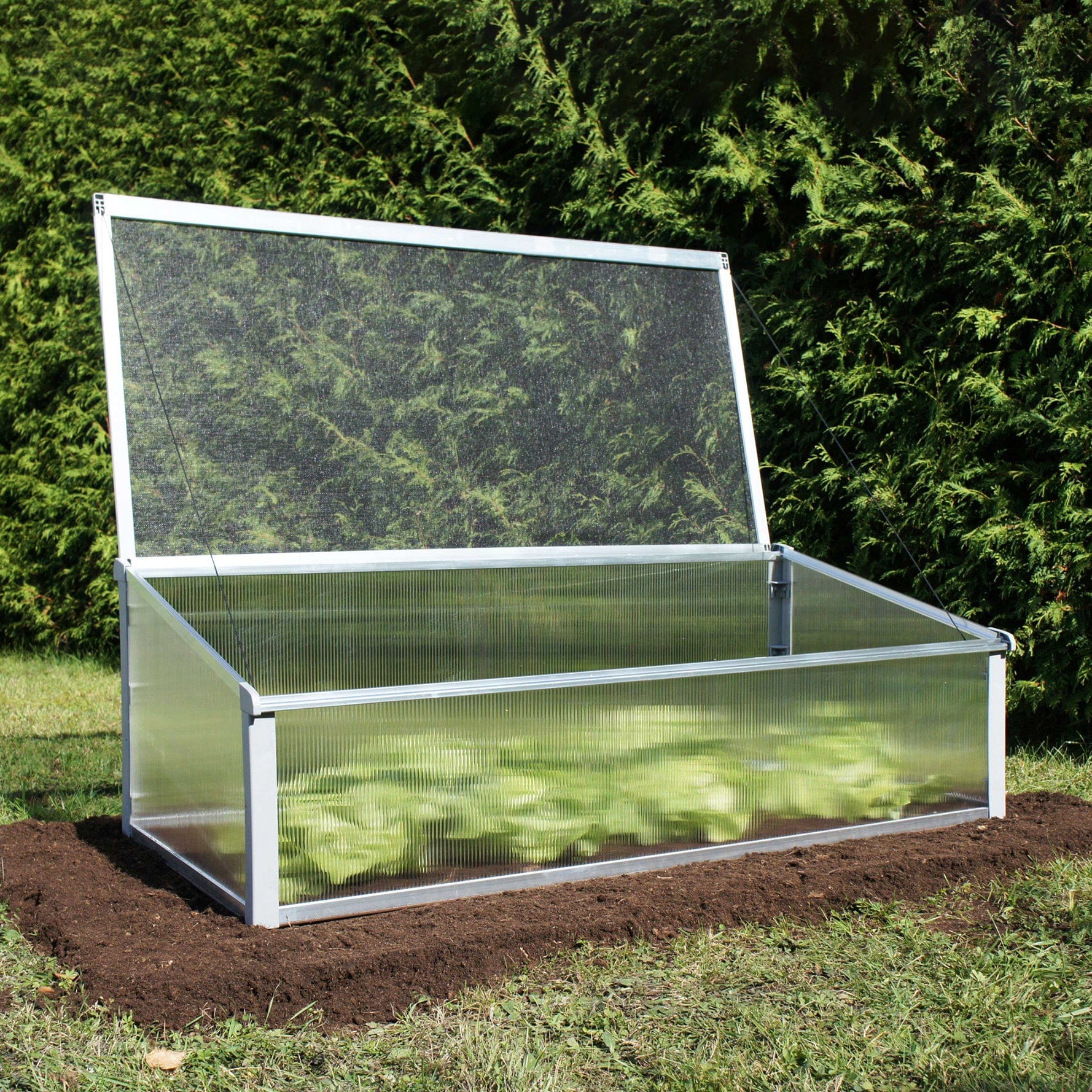 Year-Round Cold-Frame alt 0