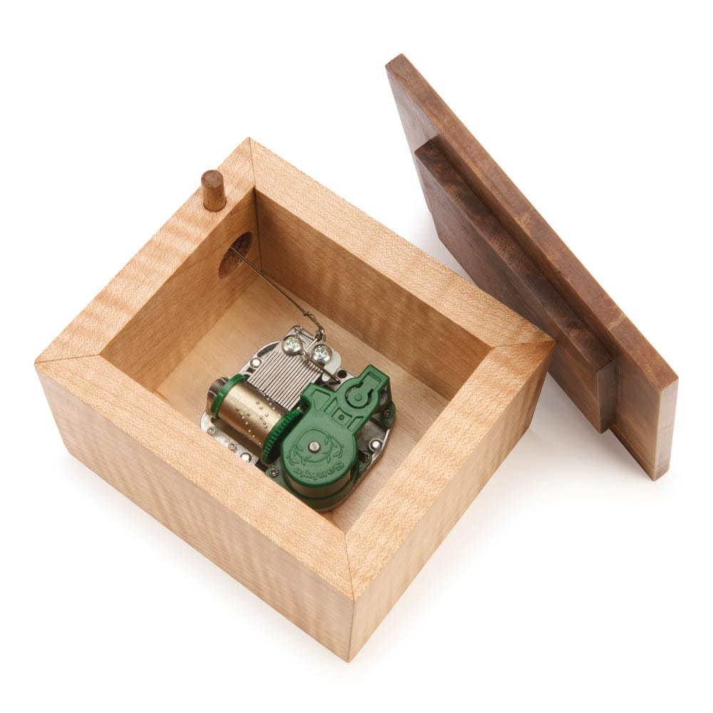 18-Note Music Box Movement with Für Elise