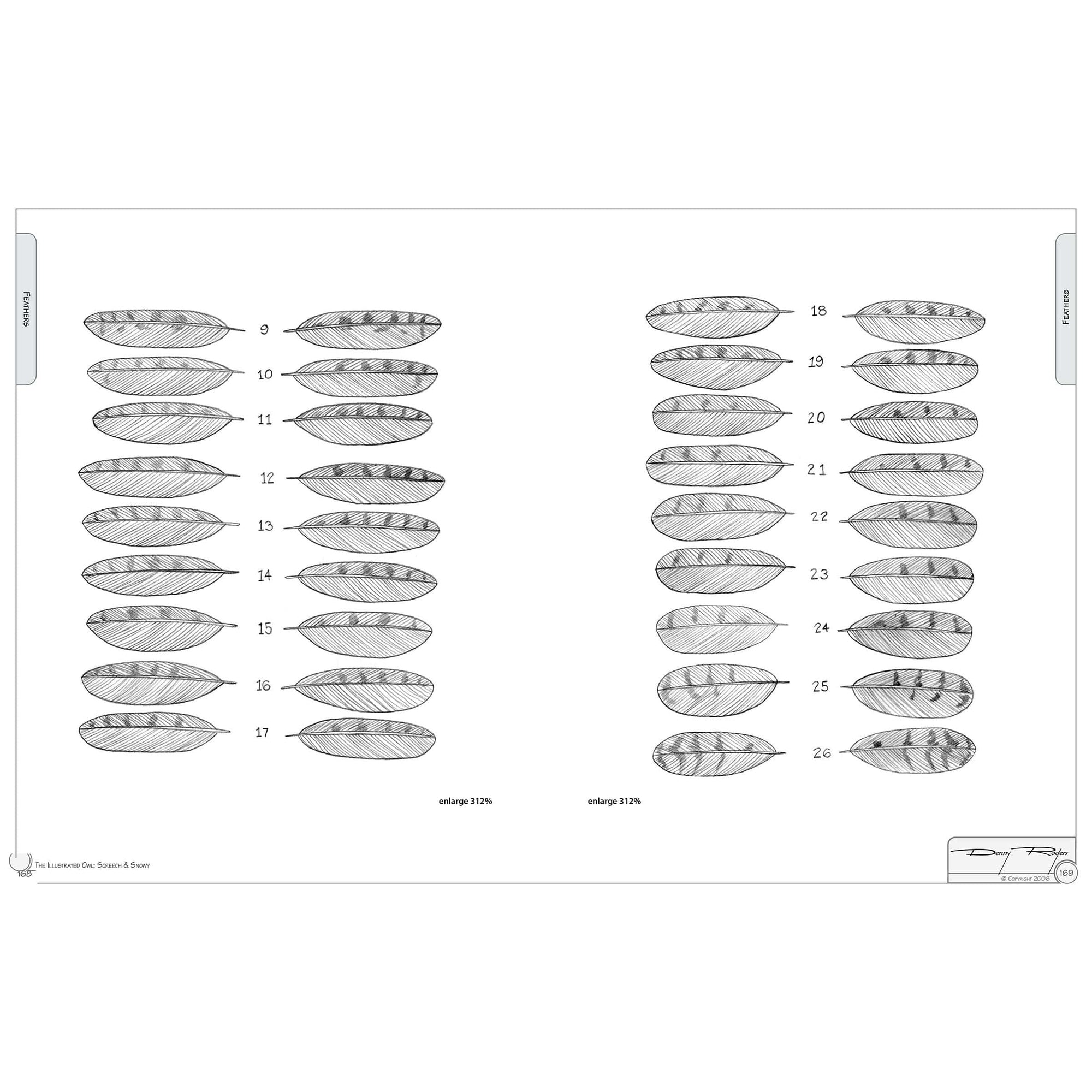 Illustrated Owl - Screech & Snowy: the Ultimate Reference for Bird Lovers, Woodcarvers, and Artists alt 0