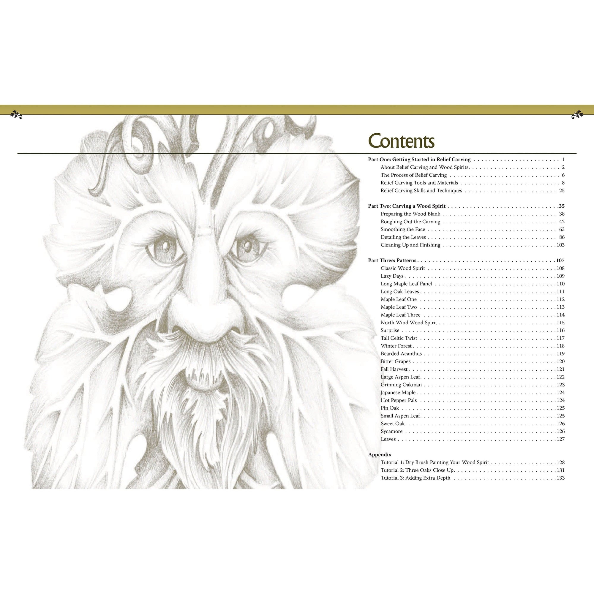 Relief Carving Wood Spirits Revised Edition alt 0