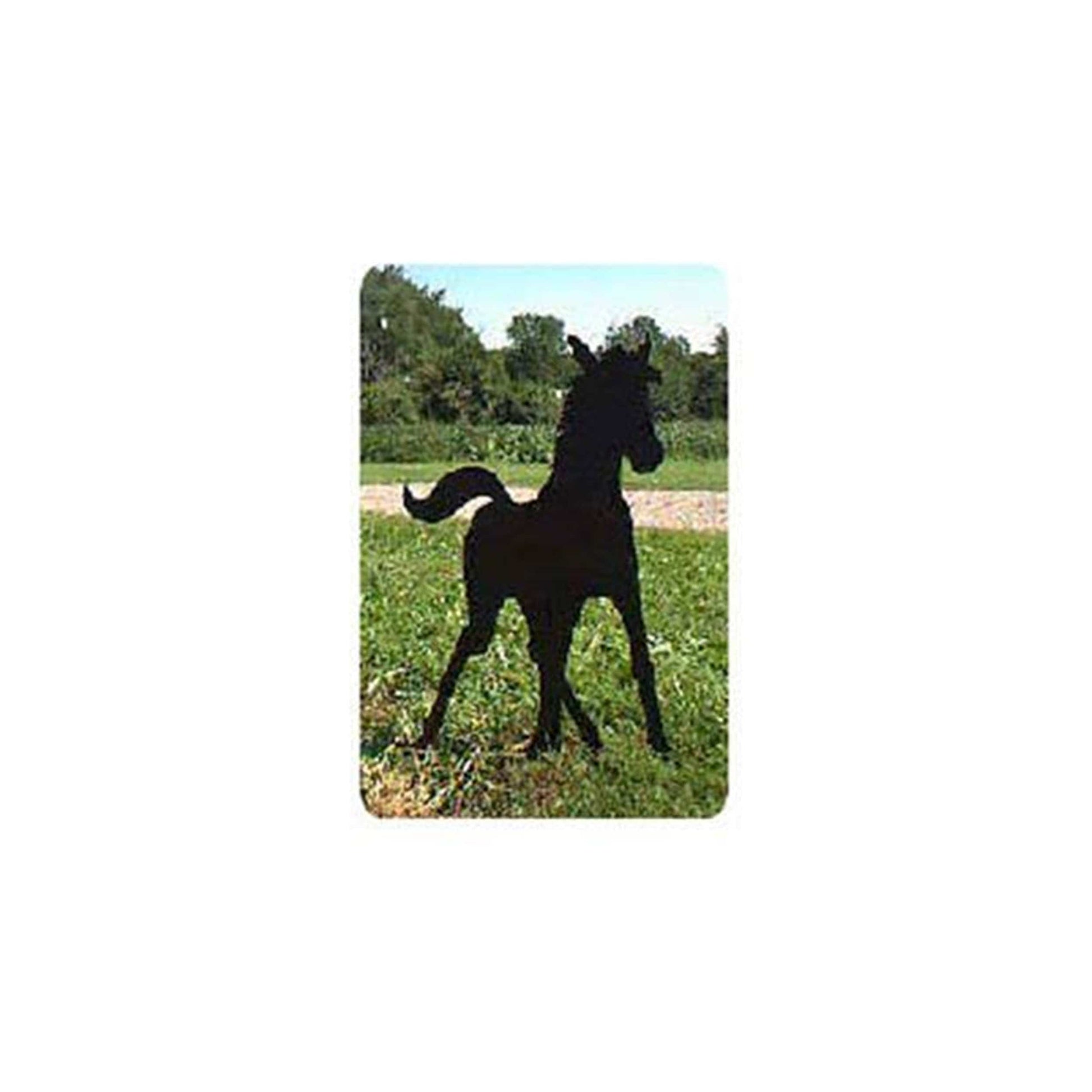 Woodworking Project Paper Plan to Build Spring Foal Shadow alt 0