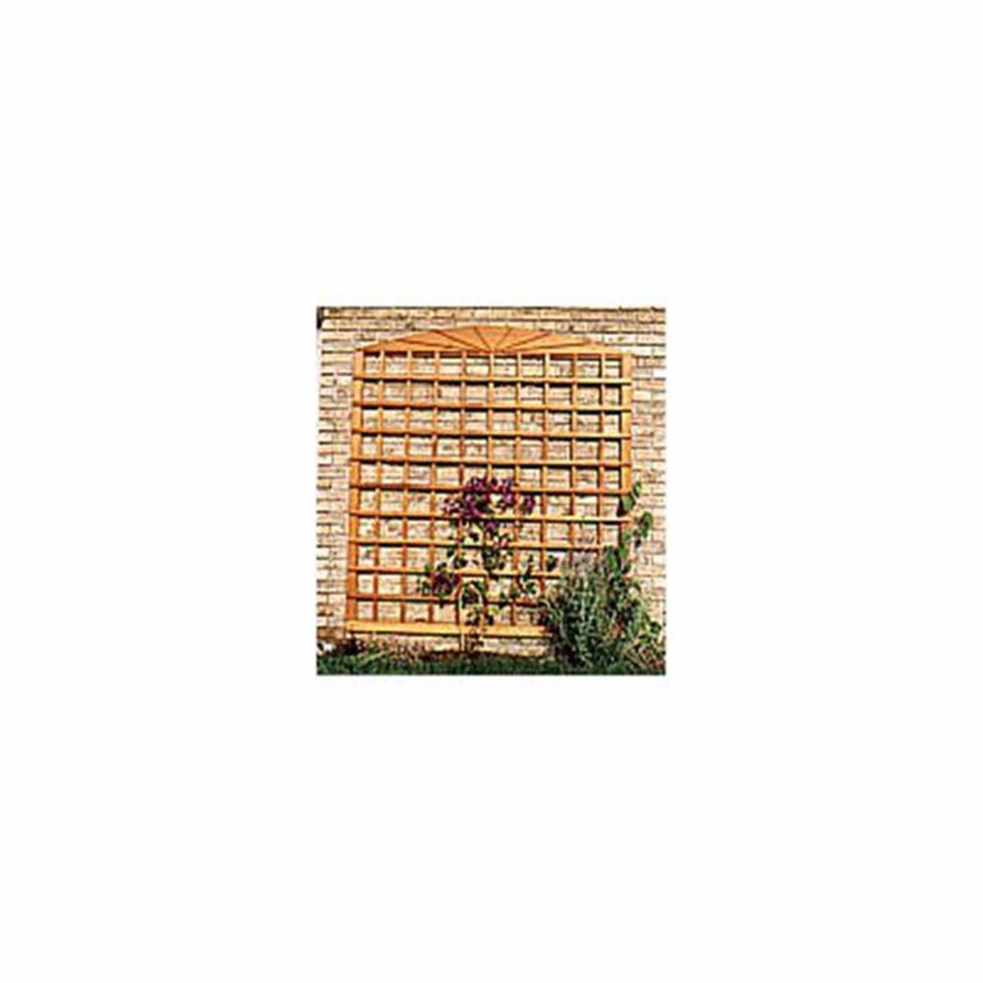 Woodworking Project Paper Plan to Build Wall Trellis alt 0