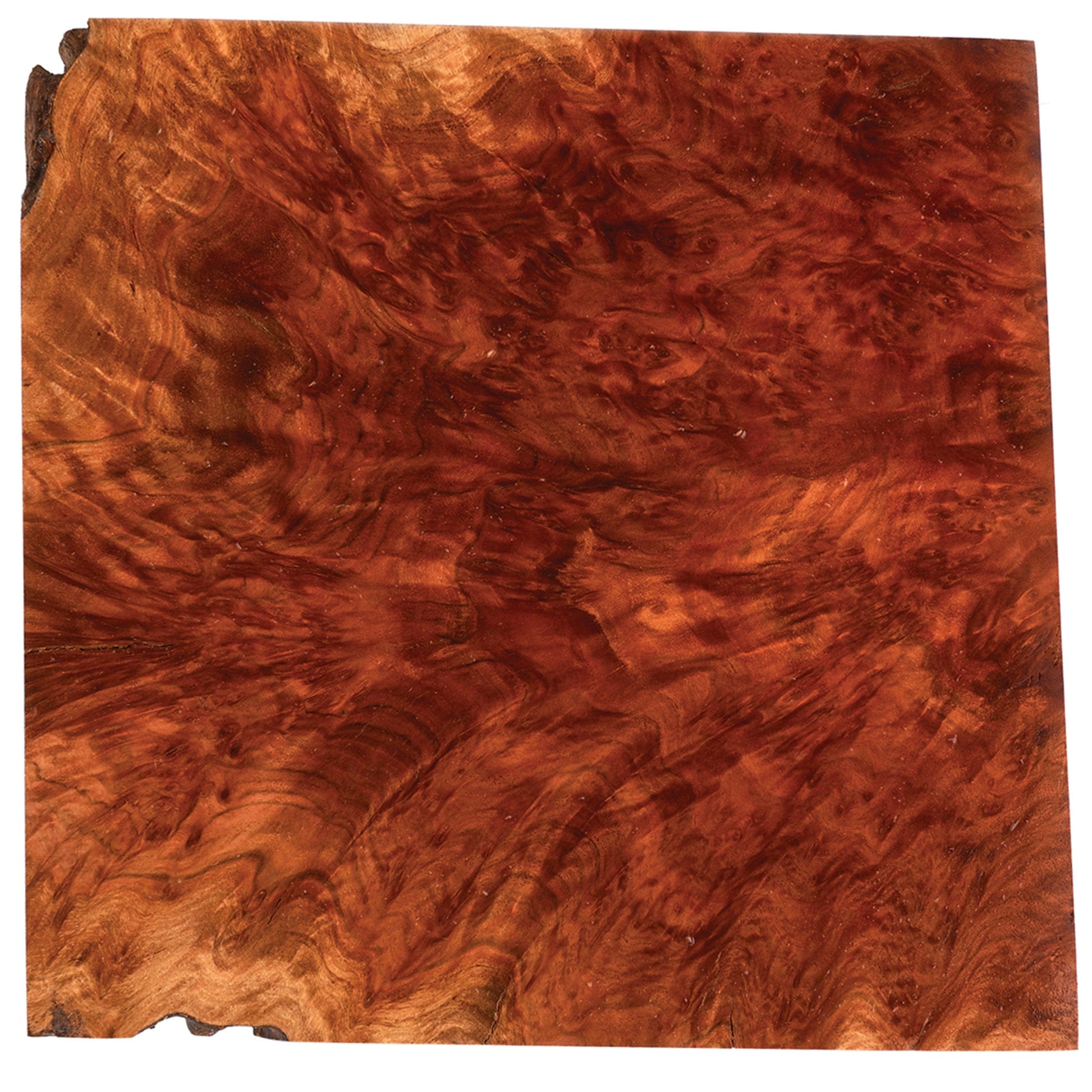 Australian Red Mallee Burl Turning Blank - 1 kg - 2 kg alt 0