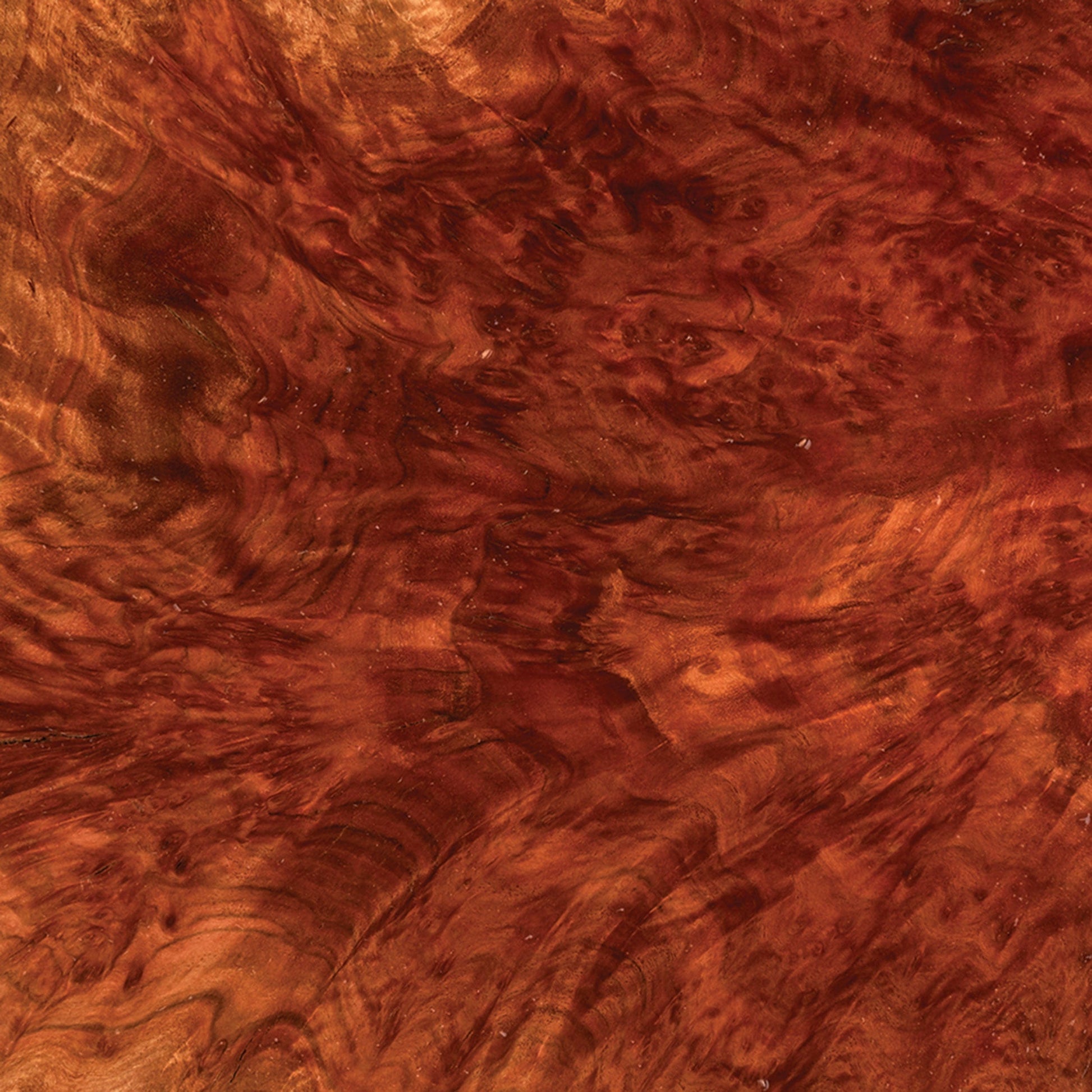 Australian Red Mallee Burl Cap - 1 kg - 2 kg alt 0