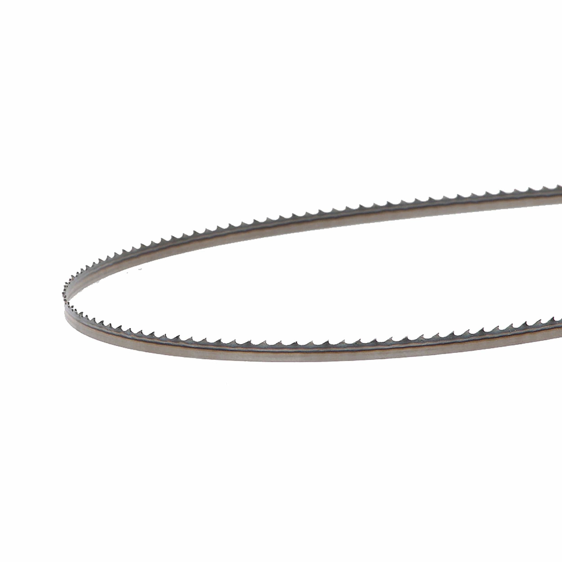 Bandsaw Blade - 162" x 1/4" x 6 TPI - Positive Claw alt 25