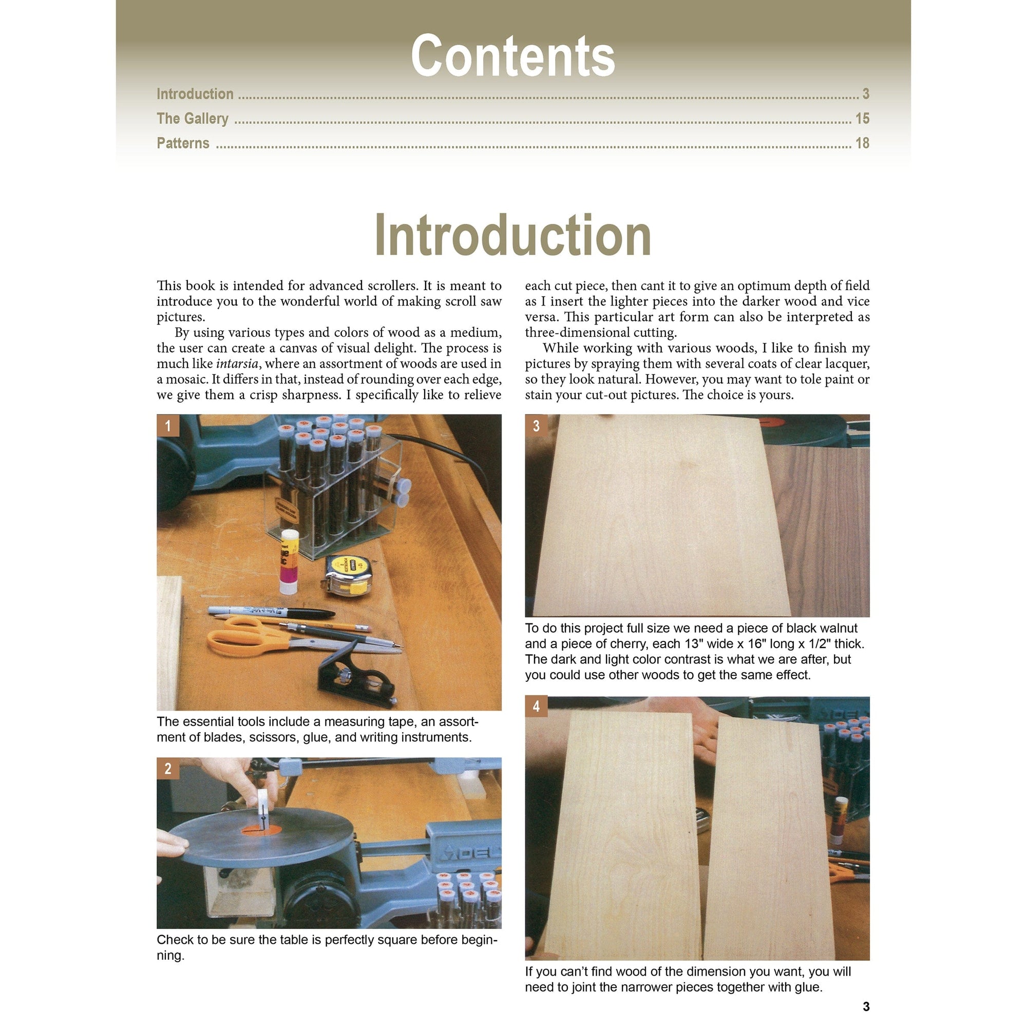 Scroll Saw Pictures 2nd Edi alt 0