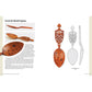 Great Book of Spoon Carving Patterns alt 0