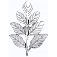 Fern Leaf Knob Nickel alt 0