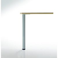 43-1/4" (1100 mm) Adjustable Table Leg Brushed Nickel alt 0