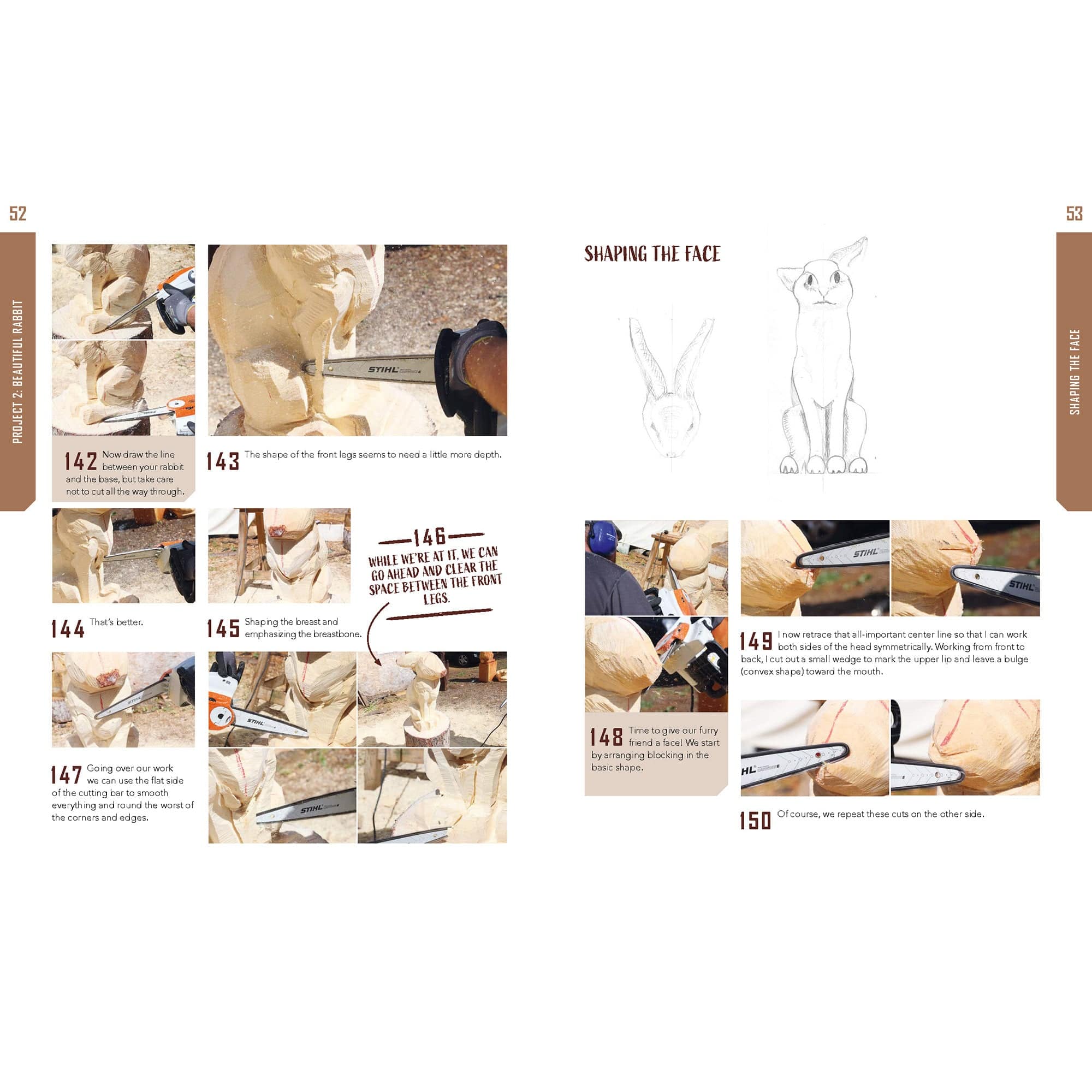 Chainsaw Carving for Beginnners alt 0