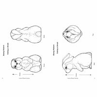 Carving Wooden Critters alt 3