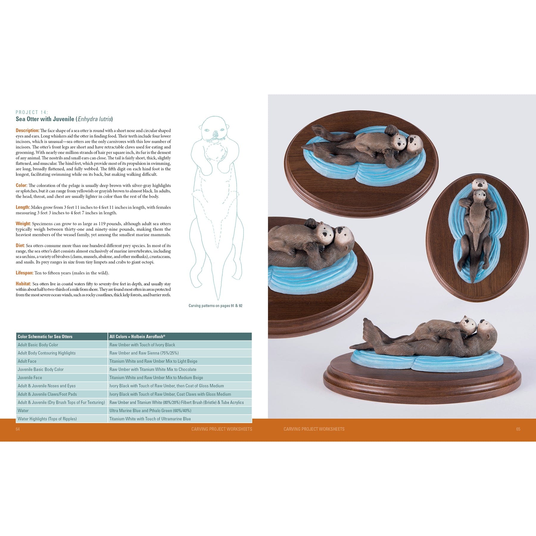 Carving Marine Mammals alt 0