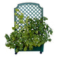 Calypso Planter Trellis Green alt 0