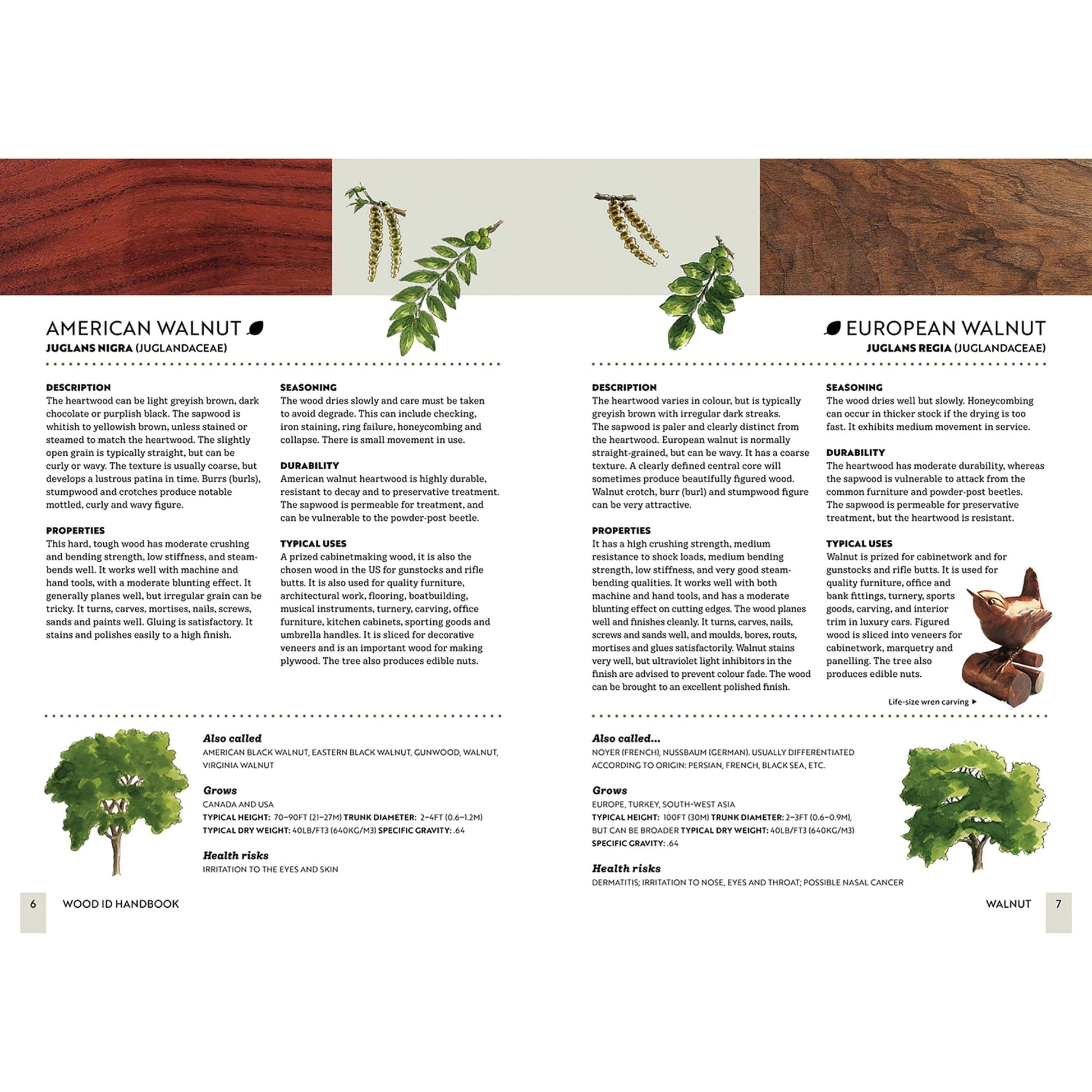 Wood ID Handbook alt 0