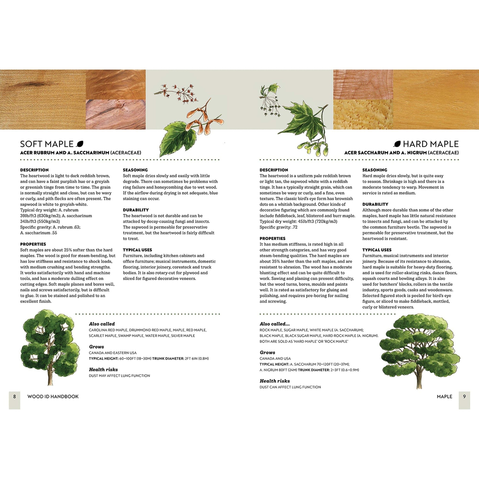 Wood ID Handbook alt 0