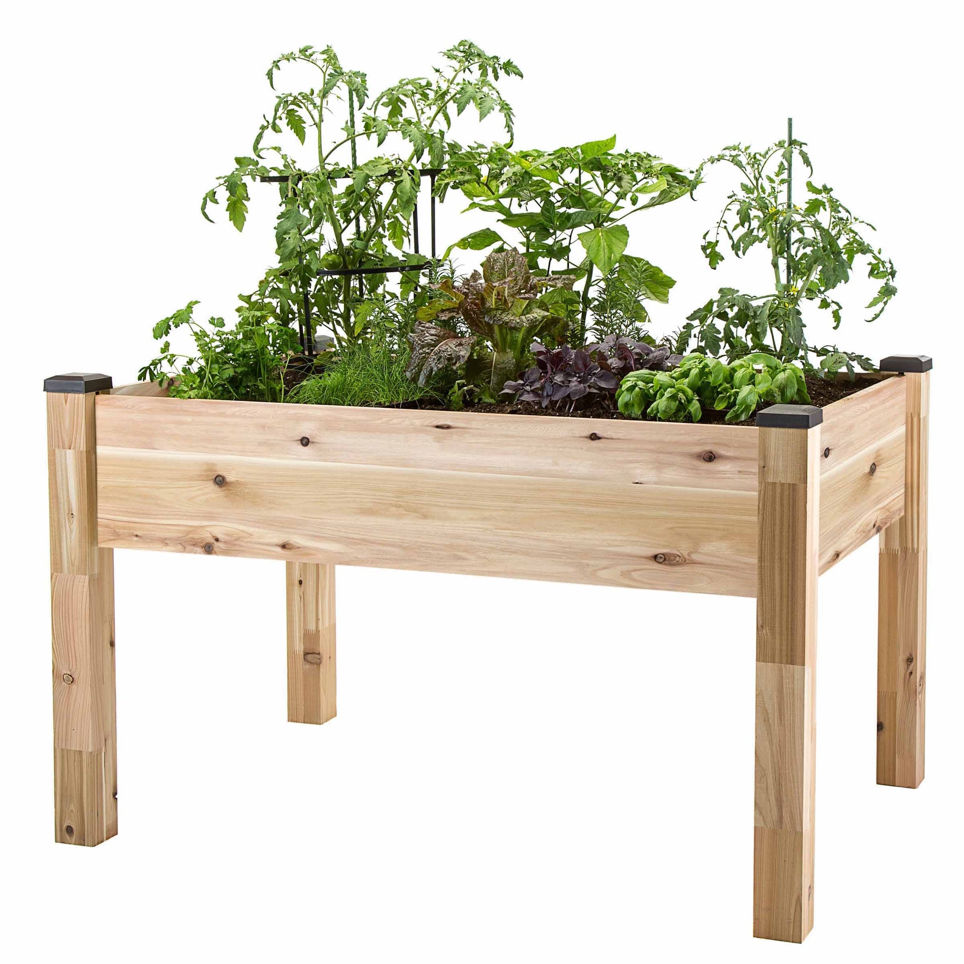 Elevated Cedar Planter 34" X 49" X 30"H alt 0