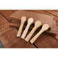 Mini Spoon Blank Set - Elm, Apricot, Maple and Alder - 4 Piece