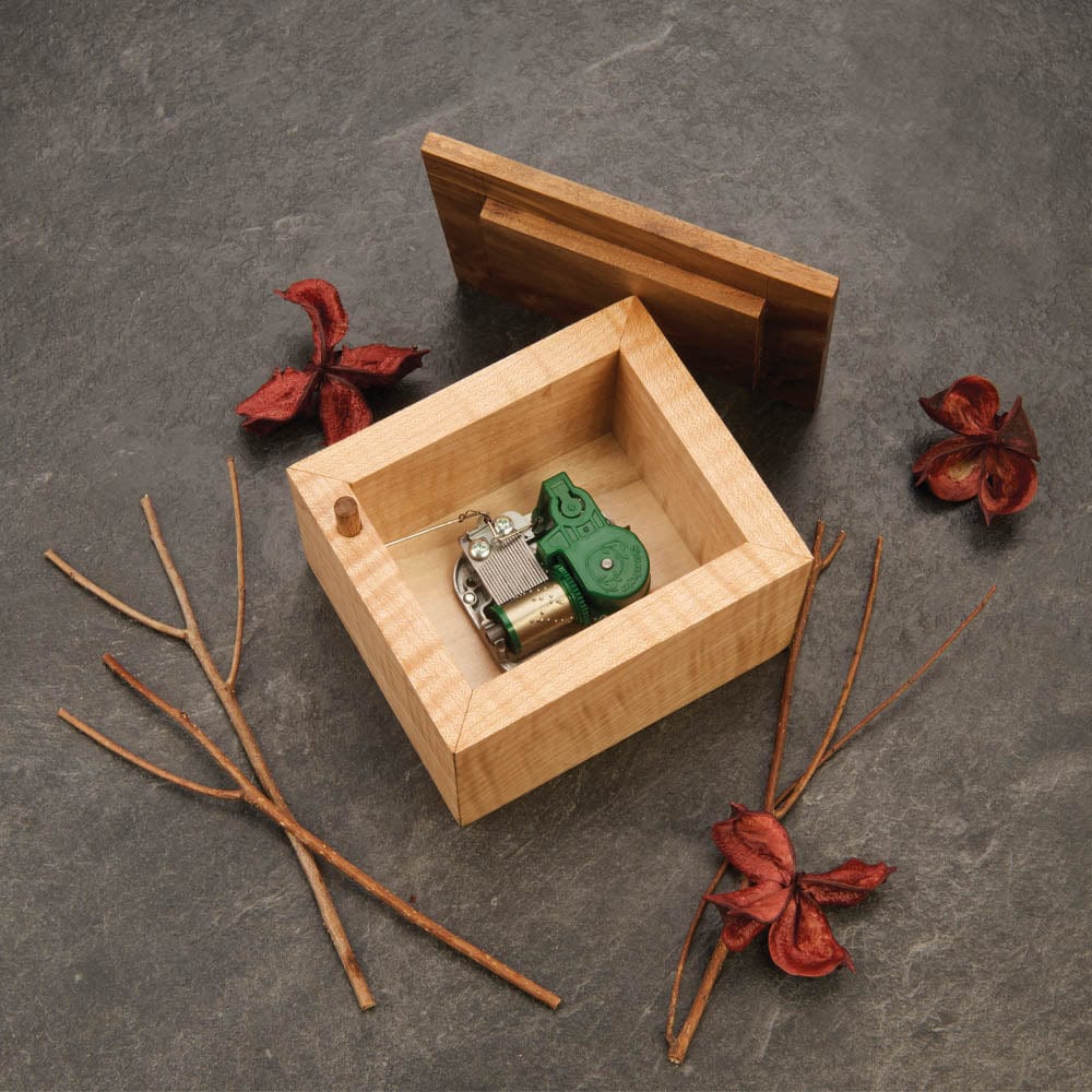 18-Note Music Box Movement with Für Elise