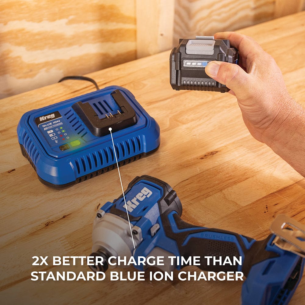 Blue Ion Fast Charger - 20V