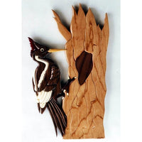IVORY BILLED WOODPECKER INTARSIA PATTERN alt 0