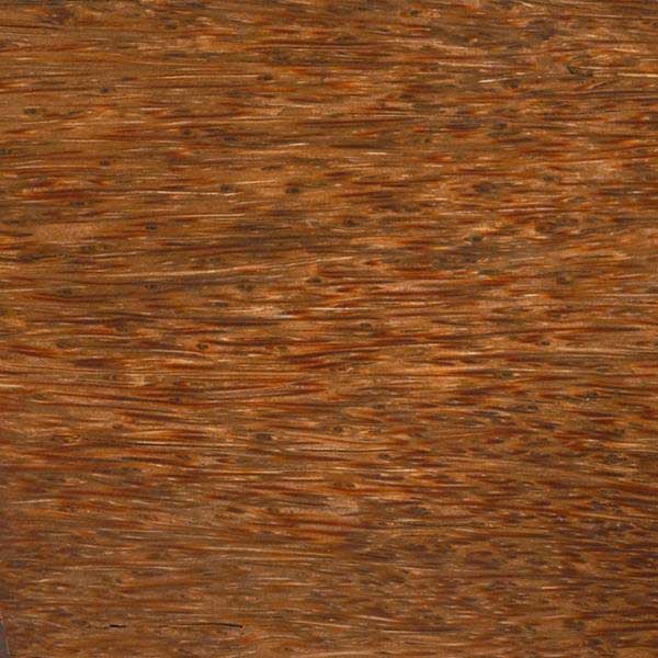 Red Palm - 1-1/2" x 1-1/2" x 12"