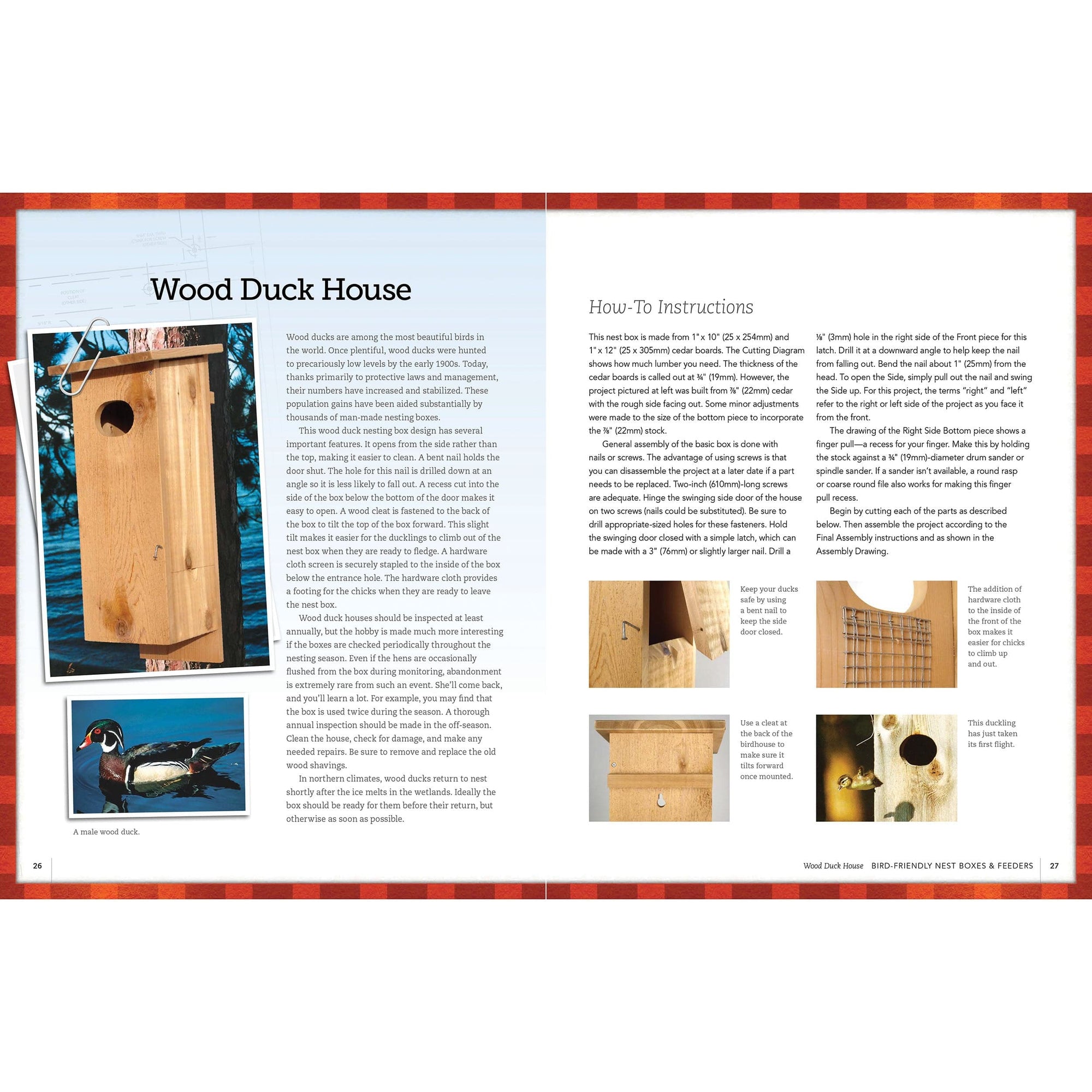 Bird-Friendly Nest Boxes and Feeders alt 0