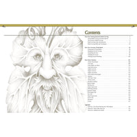 Relief Carving Wood Spirits Revised Edition alt 0