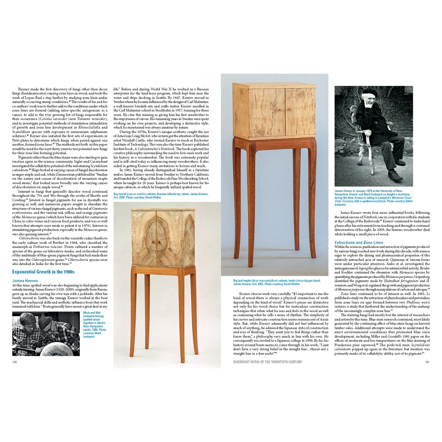 Spalted Wood: The History, Science, and Art of a Unique Material alt 0